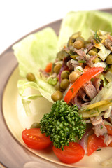 Farmer - salad from a beef tongue, fresh vegetables, gherkins wi