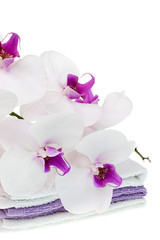 Fototapeta na wymiar White orchid on towels
