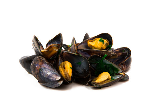 moule mariniere