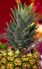 Catering - pineapple close-up