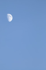 Waxing Gibous Moon in daylight
