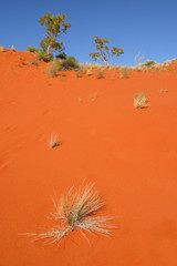 Red desert sand dune Australia
