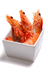 Prawns isolated on a white background
