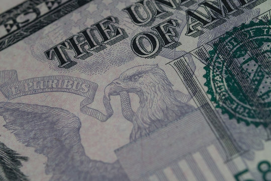 Detail of the US $5.00 Bill 1