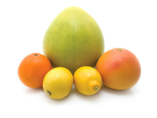 orange, lemon and grapefruit on white background