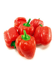 red paprica bells on white background