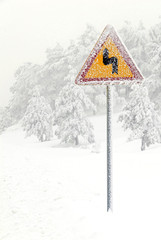Traffic road sign in fog and snow