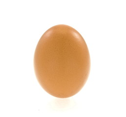 egg isolated on white