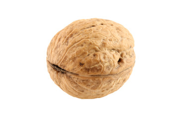 walnut isolated