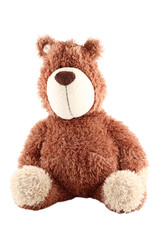 teddy bear isolated