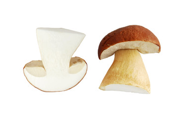The cut cep