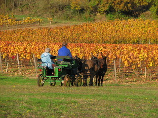 Obraz premium Vallée du Lot, Périgord