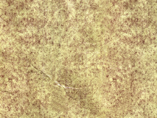 paper
