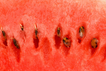 Extreme close up of the red watermelon