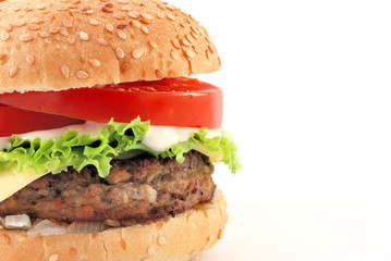 cheeseburger with copy space
