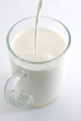 Milk