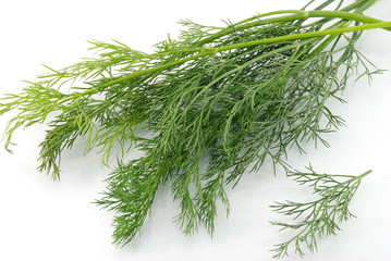 Dill