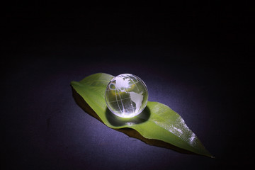 Little glassy globe lying on green leaf on dark background