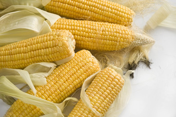 background with corn