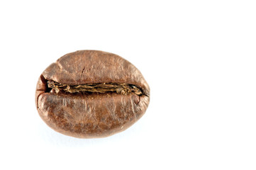 Coffee bean