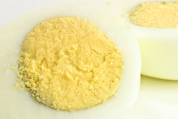 Egg