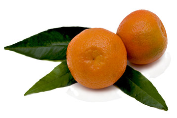 Tangerines