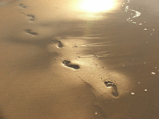 Foot prints