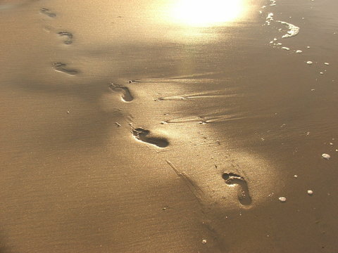 Foot prints
