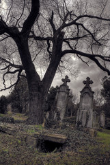 halloween scene with opened tomb