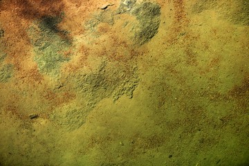 Bottom of a river texture, orange and green background
