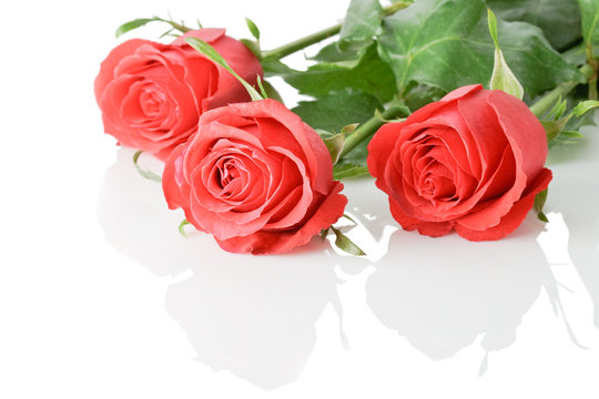 three red roses boquet