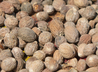 close up image of nutmeg