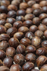 close up image of nutmeg