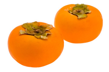 persimmon