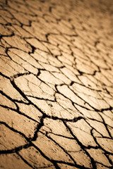 Cracked texture background. Shallow DOF.
