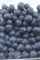 Bluberries Galore