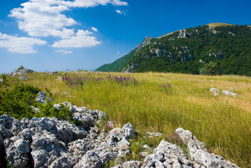 Crimea mountains