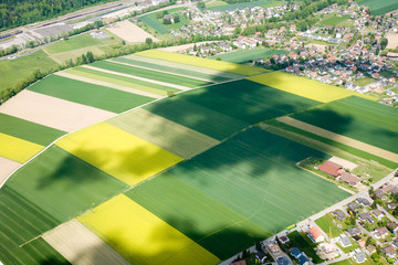 Landwirtschaft