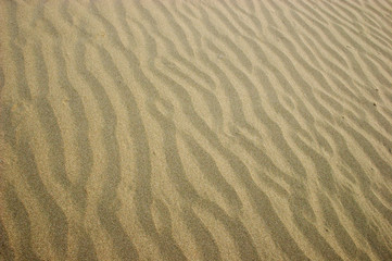 Sand texture. Ripple