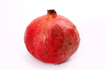 Pomegranate.