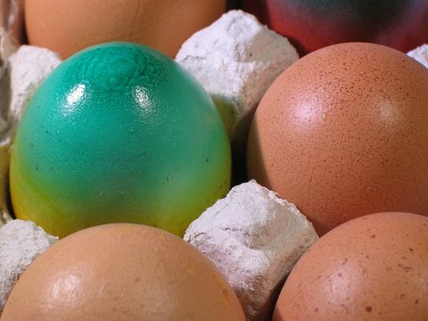 Eier
