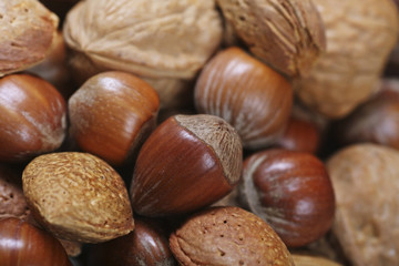 nuts