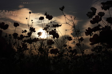 色を下さい・・。