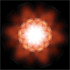 vector illustration of fire flower on black background