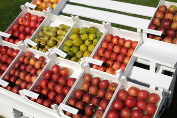Obststand