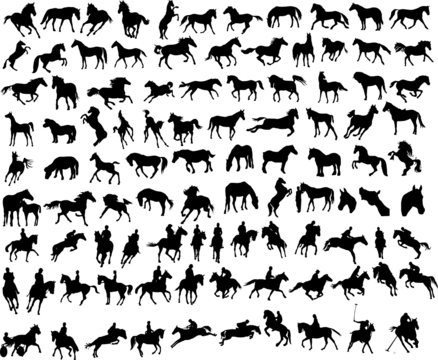 EQUESTRIAN Clipart 27 png Clipart files Instant Download stable fence rails horse horseback riding mare stallion crop boots horseshoe first