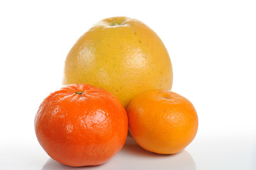 Citrus on a white background