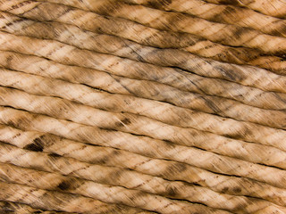 Cord from threads of a natural origin