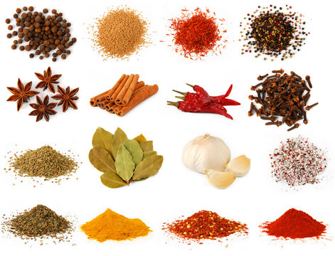 Herbs and spices collection