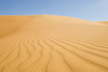 Fototapeta na wymiar Wahiba Desert Oman